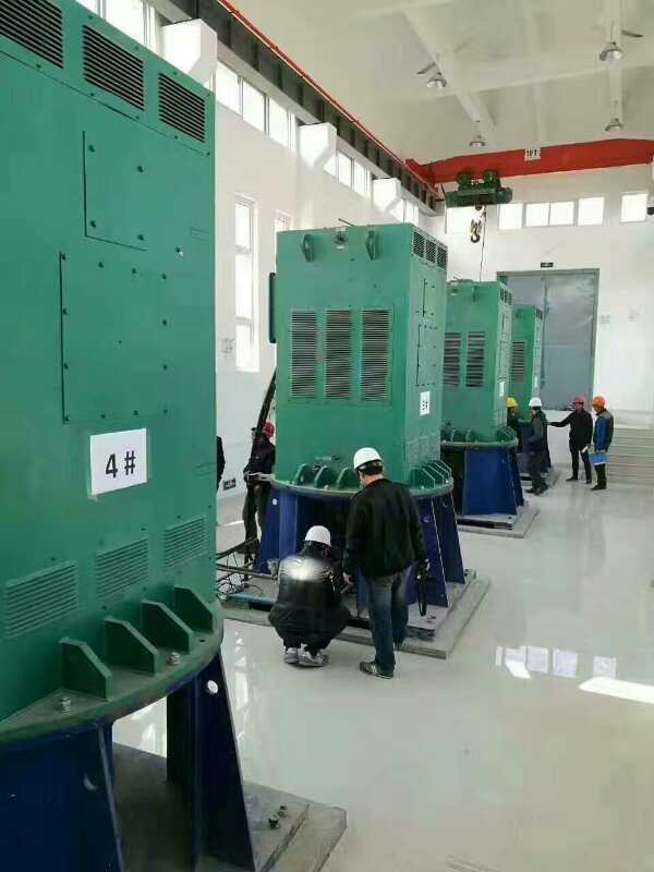 清丰某污水处理厂使用我厂的立式高压电机安装现场